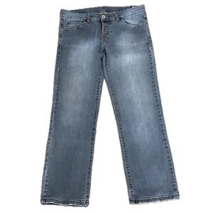 ARITZIA Denim Forum Straight Leg Jeans Blue Gray Mid Rise Women's | Sz 30